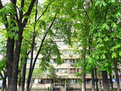 Militari-Iuliu Maniu, stradal, et.5, vedere Sud, multa verdeata, comision 0